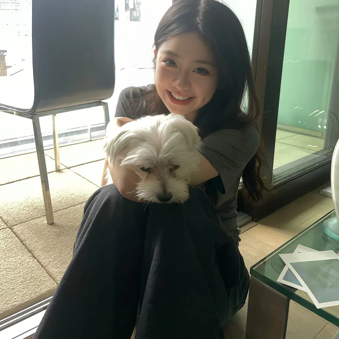 如燕而至